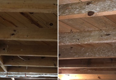 Ceiling Before and After Mold Removal in Canton, GA 