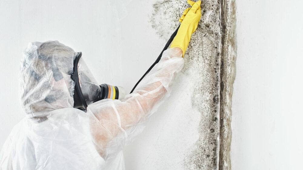 Technician Providing Mold Removal in Canton