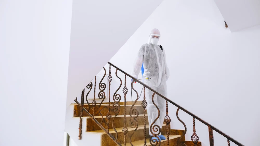Professional Unattended Death Cleanup Team Working