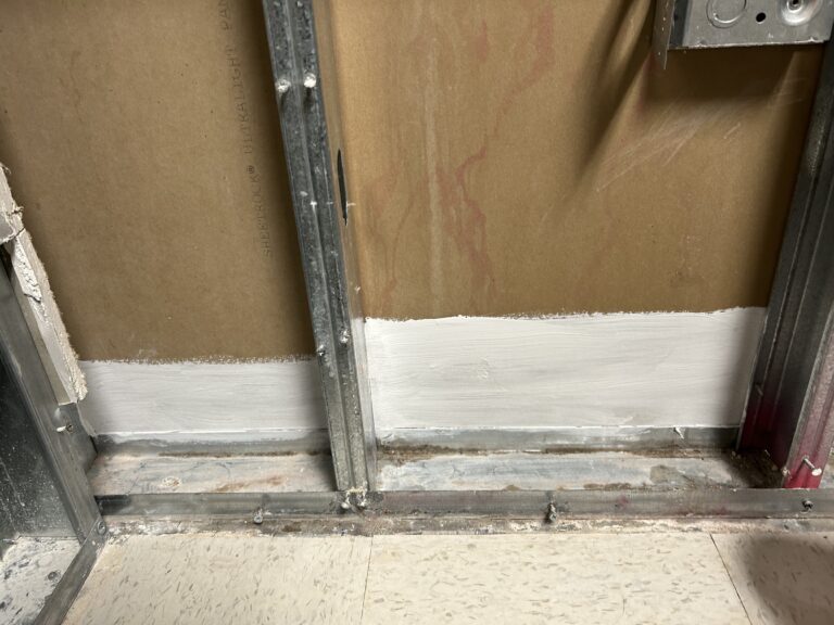 Black mold colonies developing in moisture-prone area of home