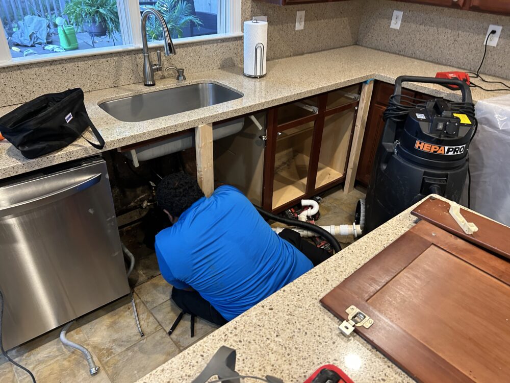 Close-up of mold damage on attic rafters and structural components
