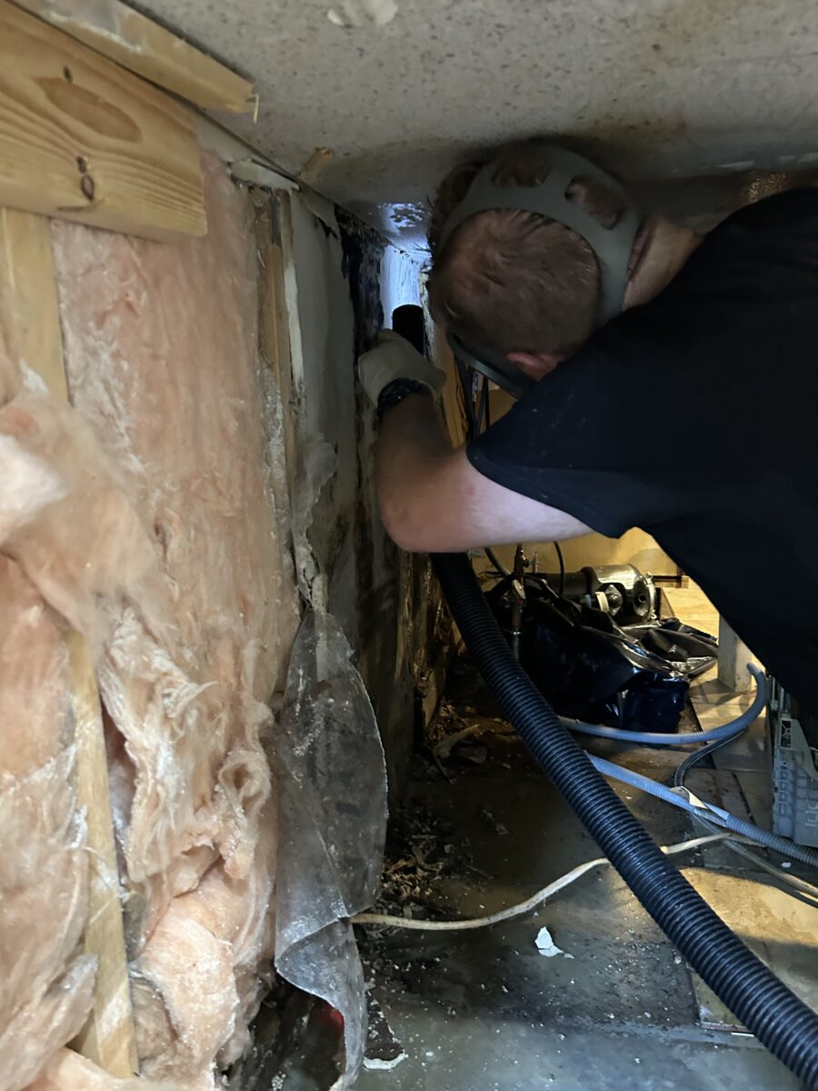 Professional mold inspection tools: moisture meters, borescopes, and thermal cameras