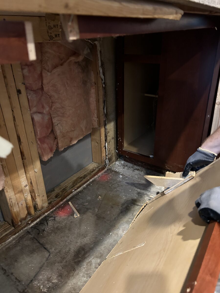Attic mold growth discovered during Marietta home inspection