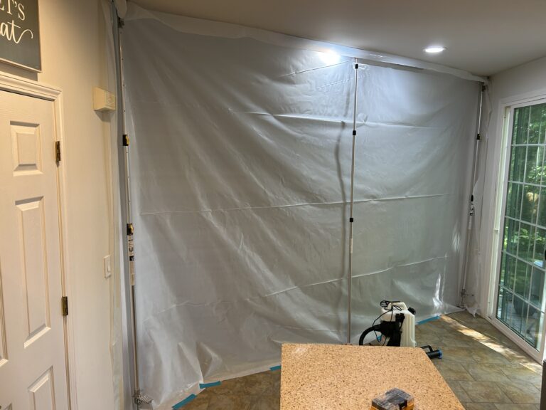 Basement mold inspection identifying moisture source and contamination