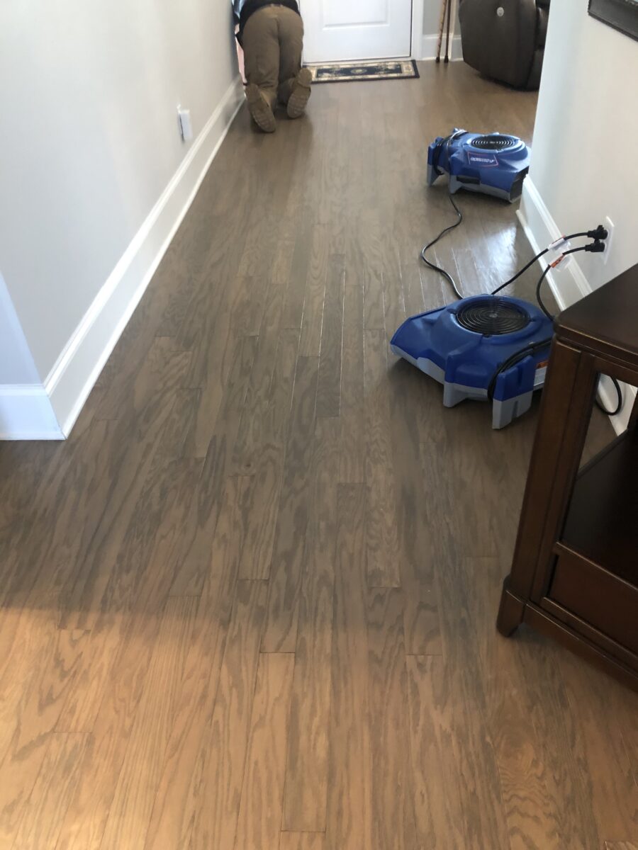 Close-up of moisture damage and mold growth on interior drywall