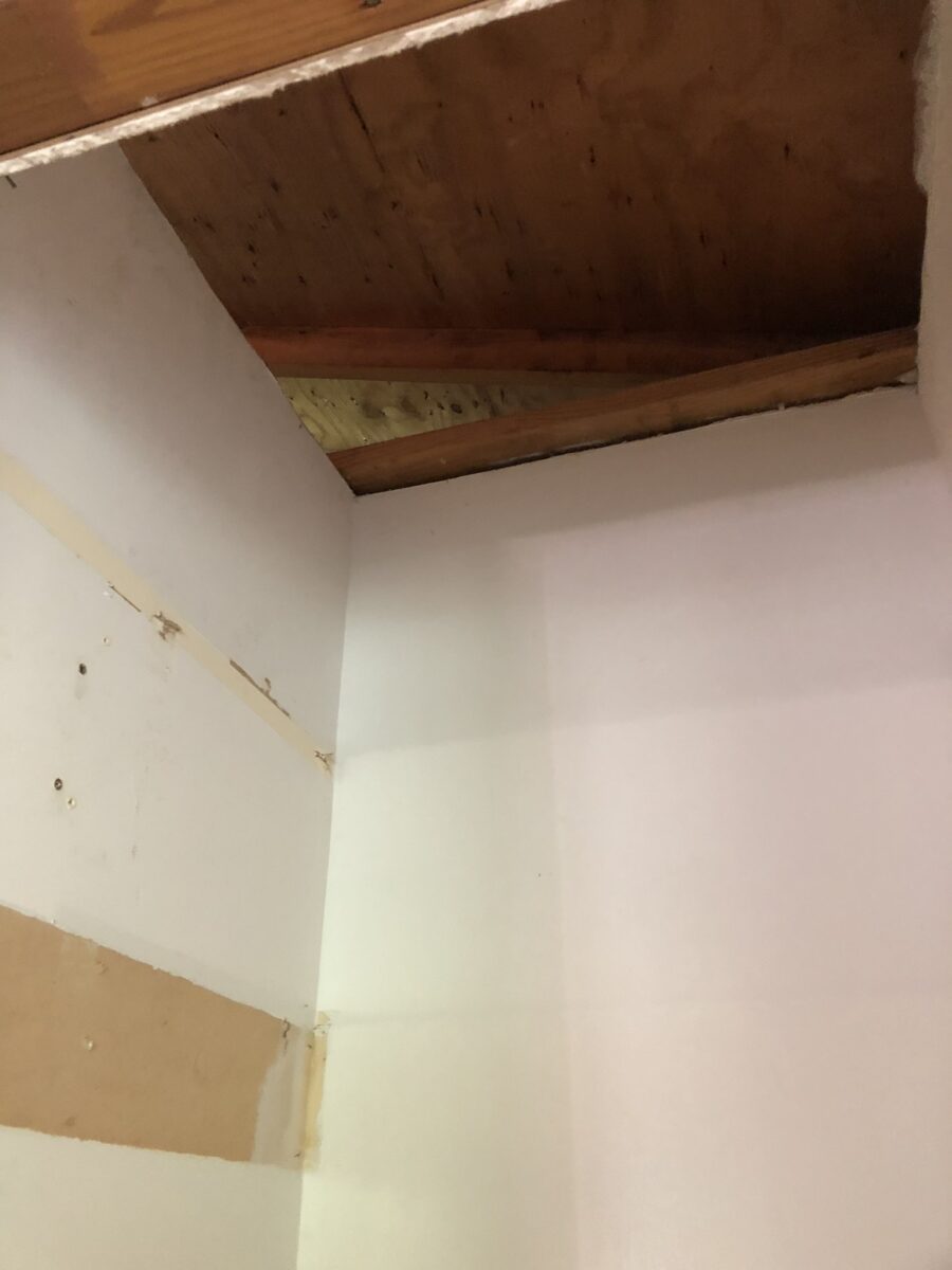 Professional biohazard technician in protective gear removing rodent droppings in Marietta GA attic