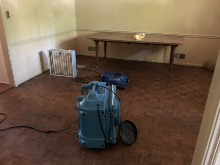 Water Damage Restoration Williams Park