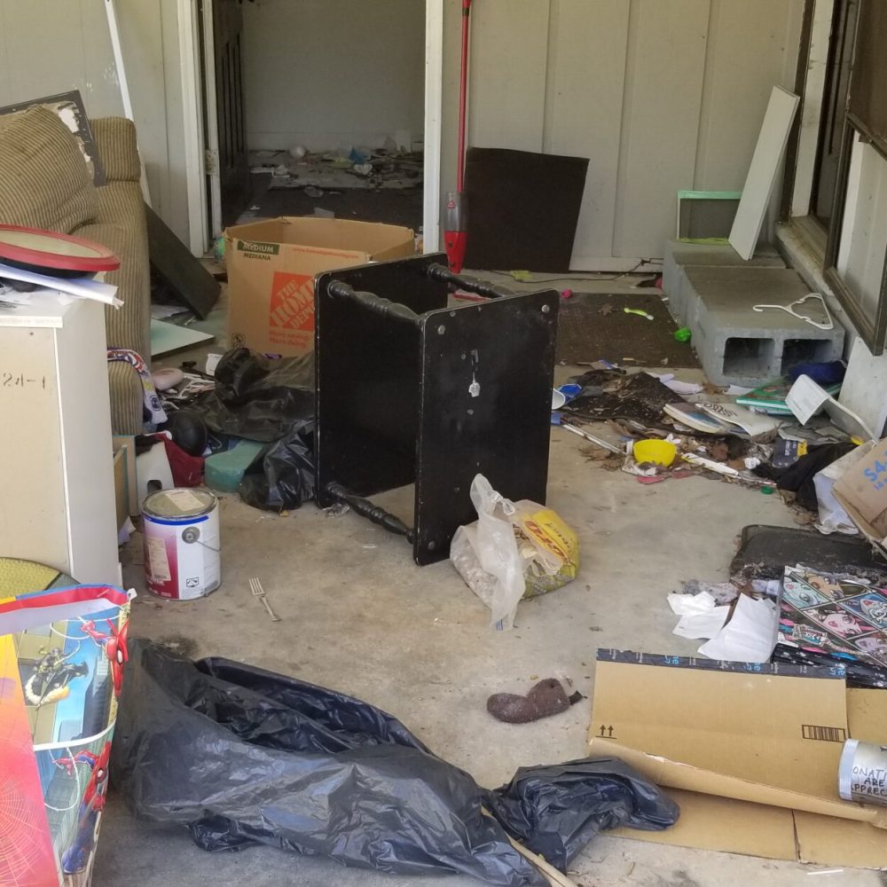 Pet odor elimination and carpet deodorization services in Marietta Georgia residence