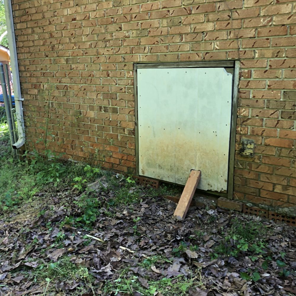 Professional Animal Waste Cleanup Team Marietta