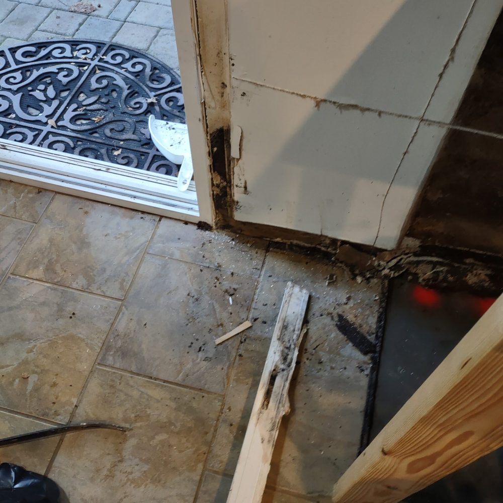 Attic Mold Contamination and Removal