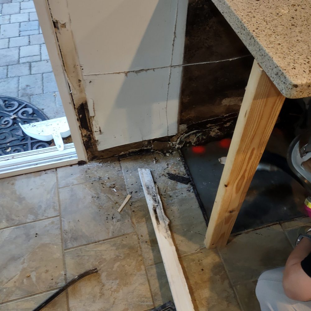 Professional Crawl Space Mold Inspection Marietta